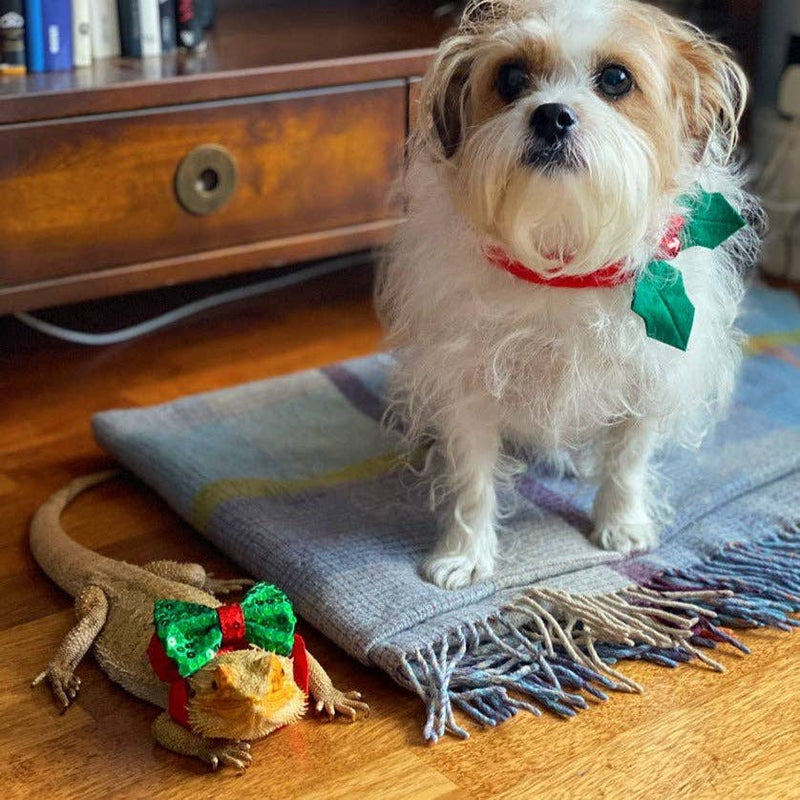 Christmas Entertainment Dog Bow Tie