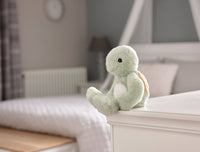 Timmy Tortoise Teddy Bear