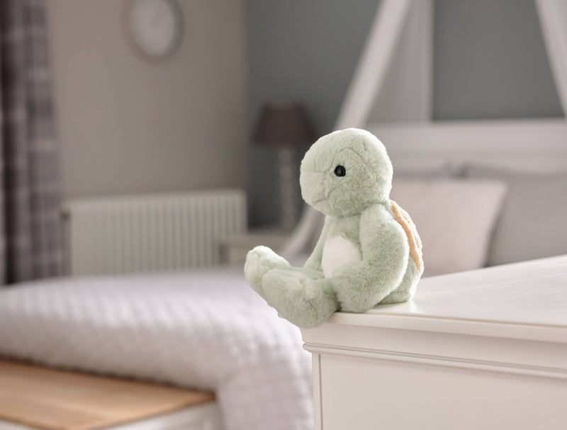 Timmy Tortoise Teddy Bear