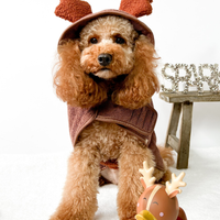 Reindeer Drying Robe - XS