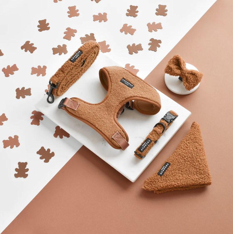 Teddy Collar - Paddington - M