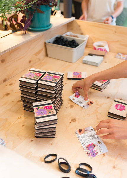 Pocket Flower Press - Cosmos