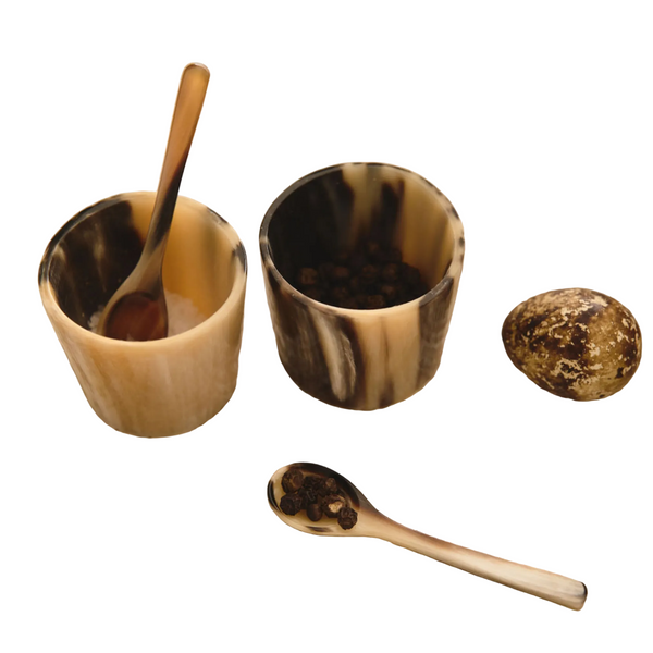 Horn Condiment Dish | Set of 2: Mixed Colour
