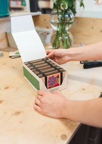 Pocket Flower Press - Cosmos