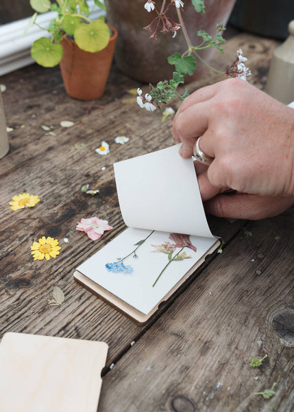 Pocket Flower Press - Vintage Corn Poppy