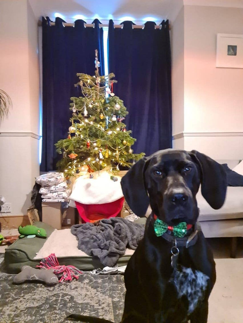 Christmas Entertainment Dog Bow Tie
