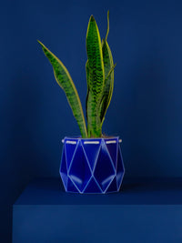 18cm Self-Watering Pot - Navy