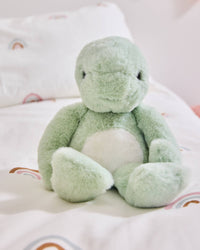 Timmy Tortoise Teddy Bear