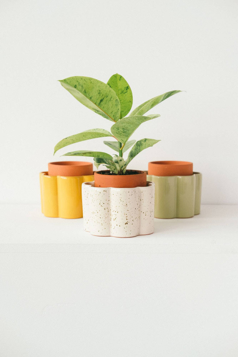 Self-Watering Pot Paula - Speckled White