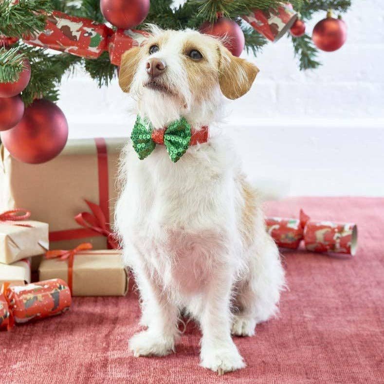 Christmas Entertainment Dog Bow Tie