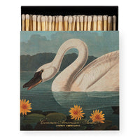 American Swan Square Matches