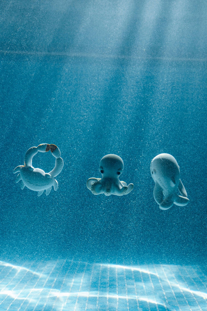 Orlando the Octopus Bath Toy