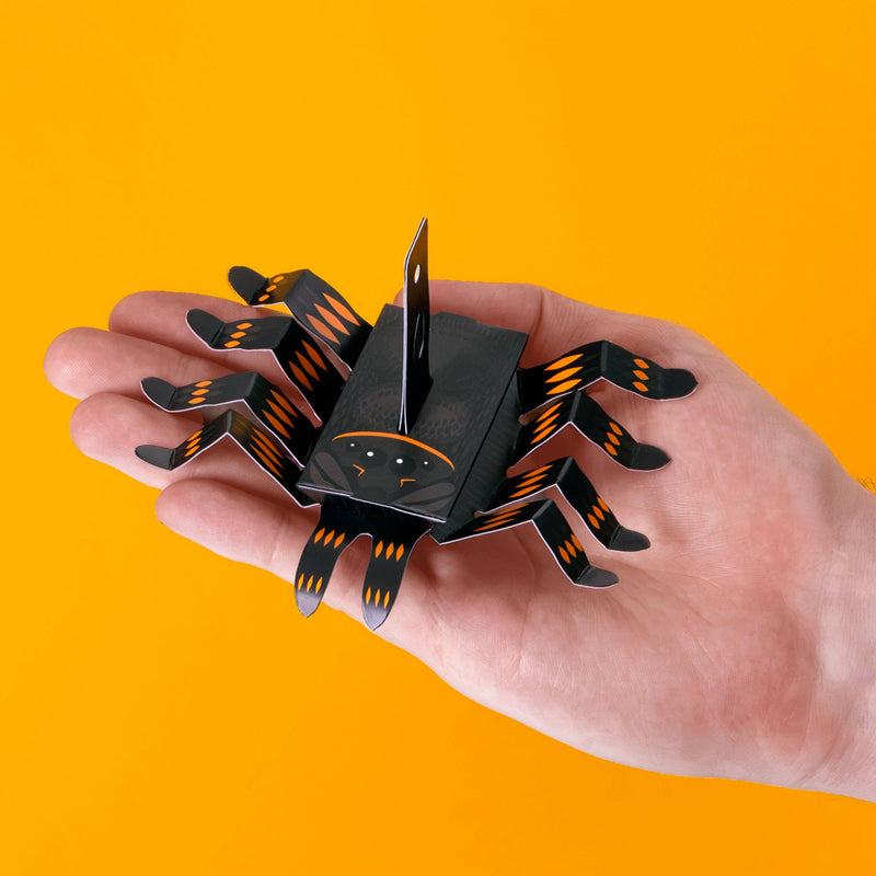 Create Your Own Wriggly Spider