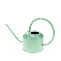 Pistachio Watering Can