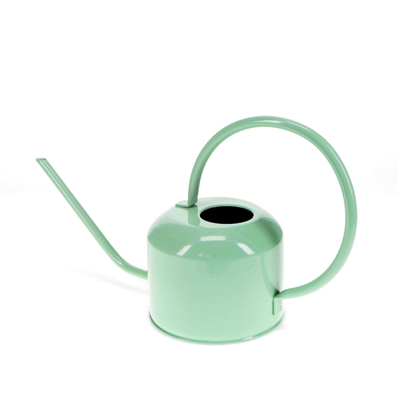 Pistachio Watering Can