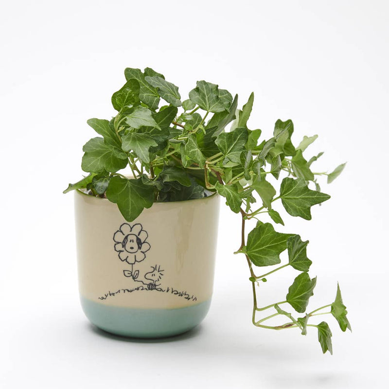 Peanuts Stoneware Planter - Love is in Bloom