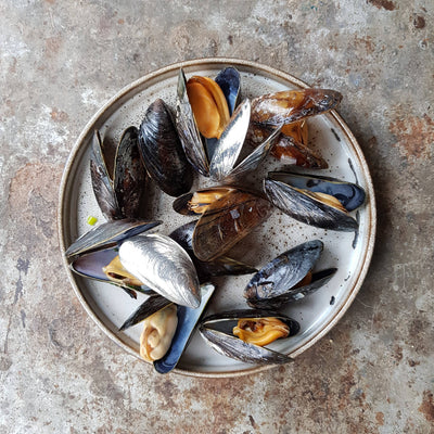 The Zeeland Mussel Pickers