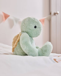 Timmy Tortoise Teddy Bear