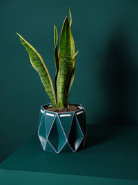 18cm Self-Watering Pot - Dark Teal