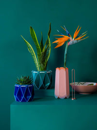 18cm Self-Watering Pot - Dark Teal