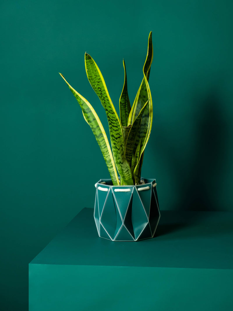 18cm Self-Watering Pot - Dark Teal