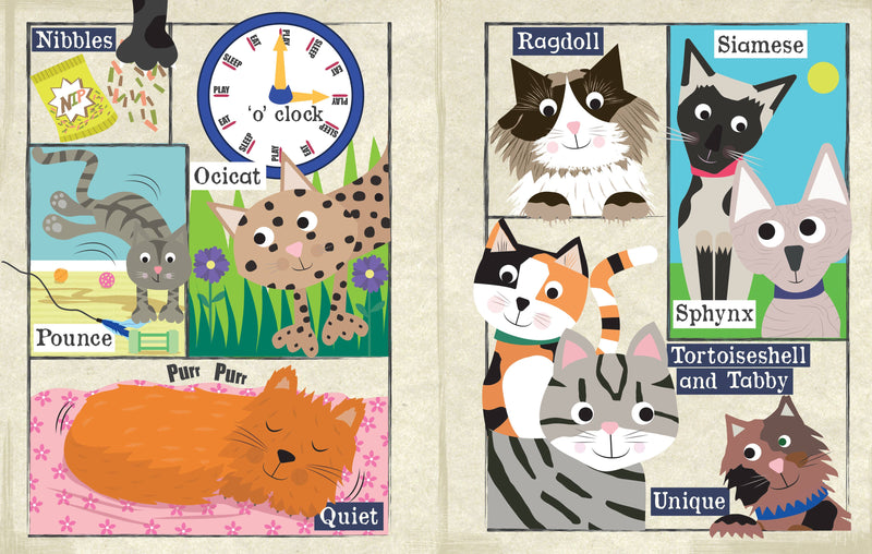 Nursery Times Crinkly Newspaper - A-Z of Cats