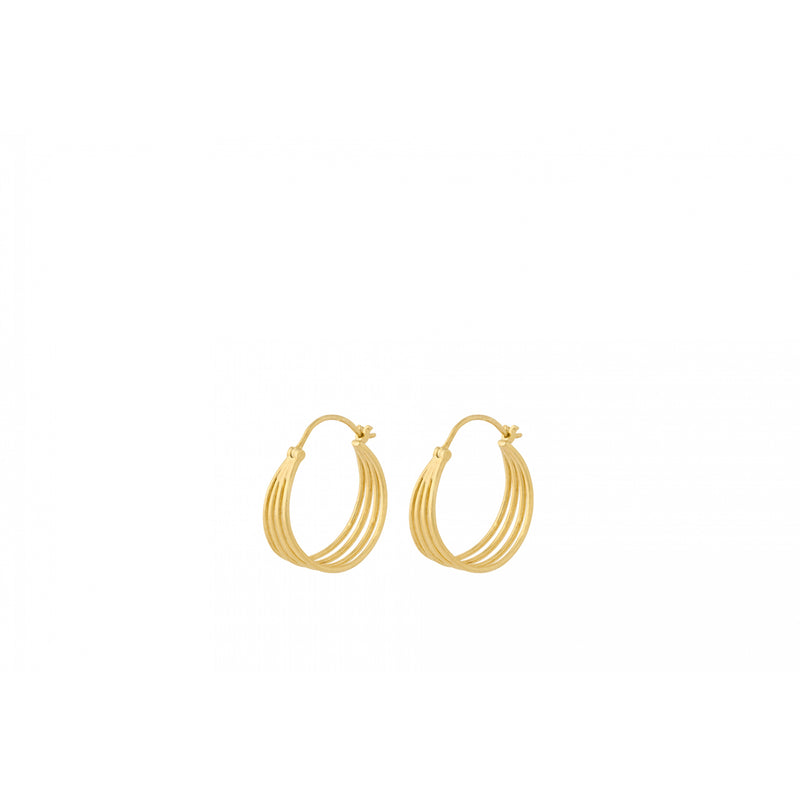 Midnight Sun Earrings - Gold Plated