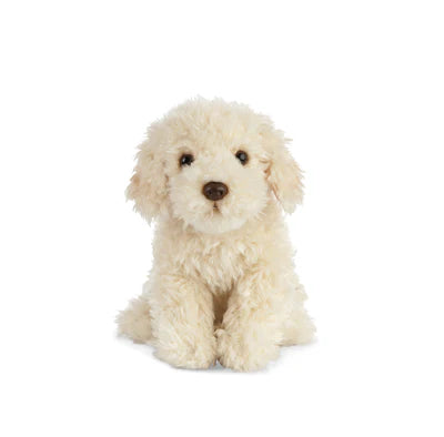 Labradoodle Playful Pup