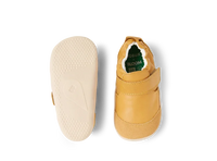 XP Marvel - Oak Buff