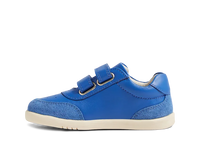 IW Champ - Olympian Blue