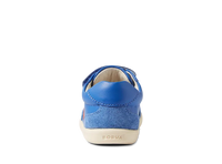 IW Champ - Olympian Blue