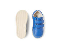 IW Champ - Olympian Blue