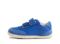 SU Champ - Olympian Blue