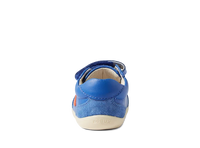 SU Champ - Olympian Blue