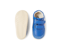 SU Champ - Olympian Blue