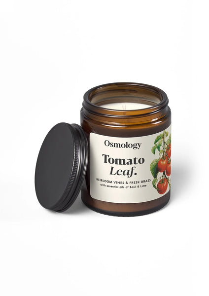 Aery - Tomato Leaf Scented Jar Candle