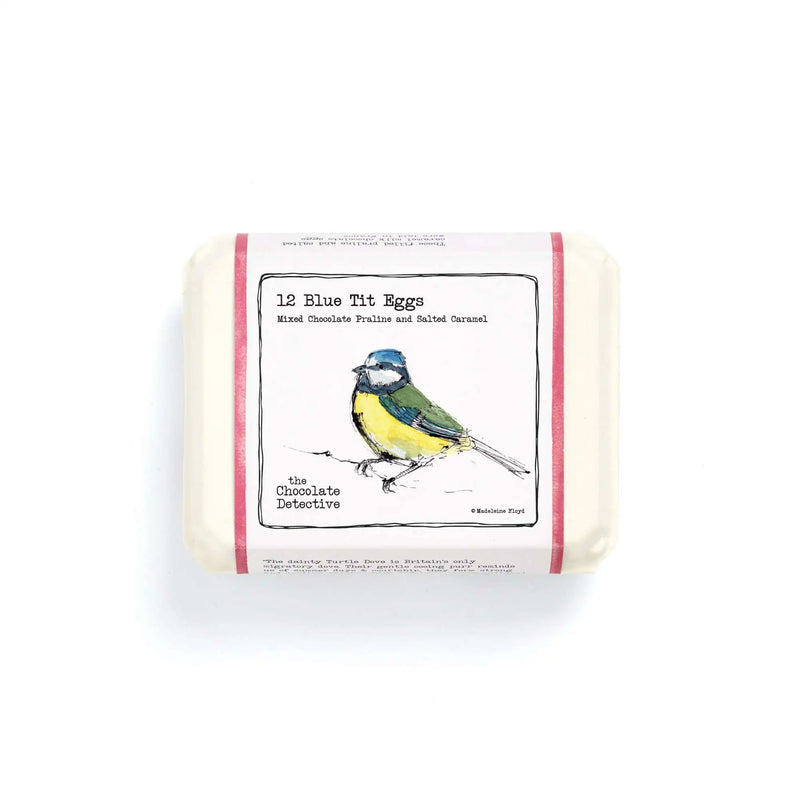 12 Chocolate Blue Tit Eggs