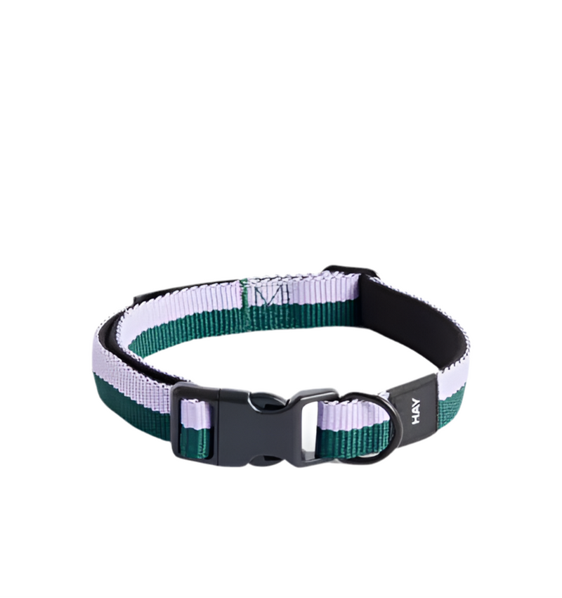 Dog Collar Flat S/M - Lavender/Green