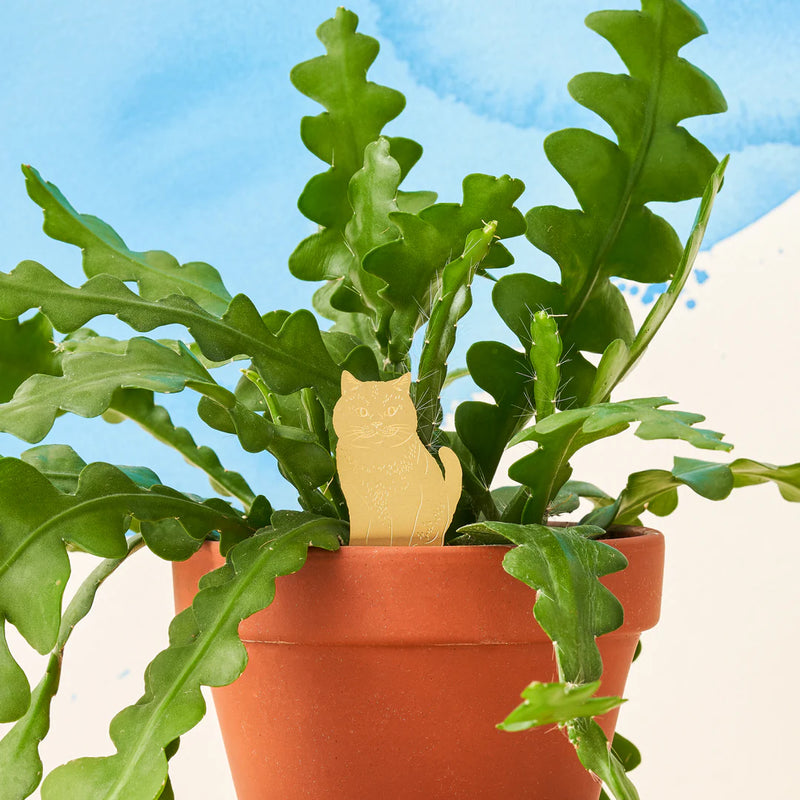 Animal Houseplant Decoration - Cat