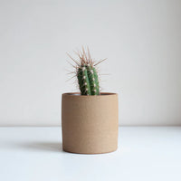 Medium Planter - Oat