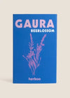 Gaura Seeds