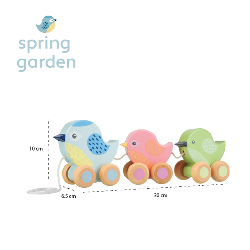 Orange Tree Toys - Pull Along Birdies