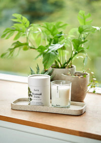 Bonsai Tree Scented Candle