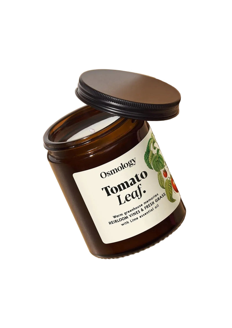 Tomato Leaf Scented Jar Candle