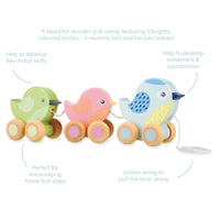 Orange Tree Toys - Pull Along Birdies