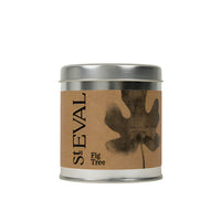 Fig Tree Scented Tin Candle