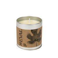 Fig Tree Scented Tin Candle