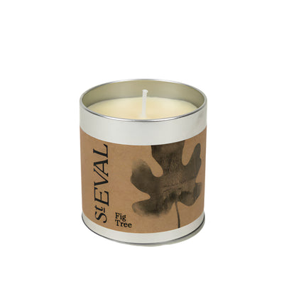 Fig Tree Scented Tin Candle