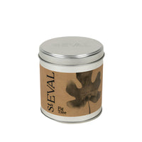Fig Tree Scented Tin Candle