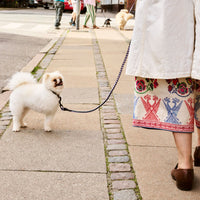 Braided Dog Leash - Lavender/Green